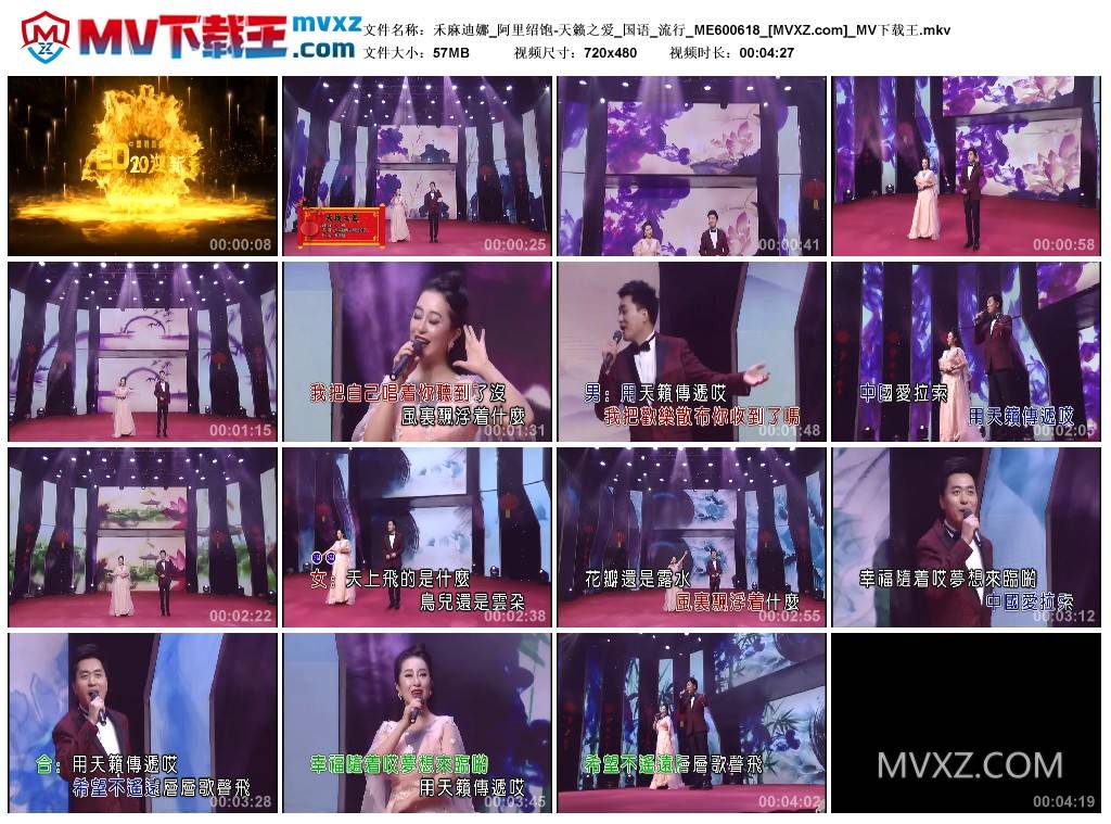 禾麻迪娜_阿里绍饱-天籁之爱_国语_流行_ME600618